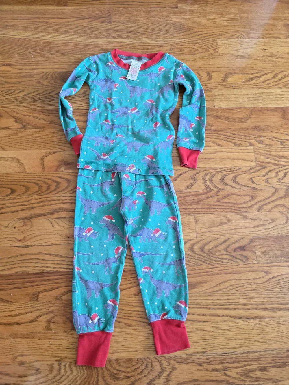 Hanna Andersson Green Dinosaur Pajama Set with Red Trim